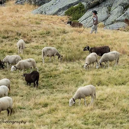 Senhora Da Estrela Al * Seia