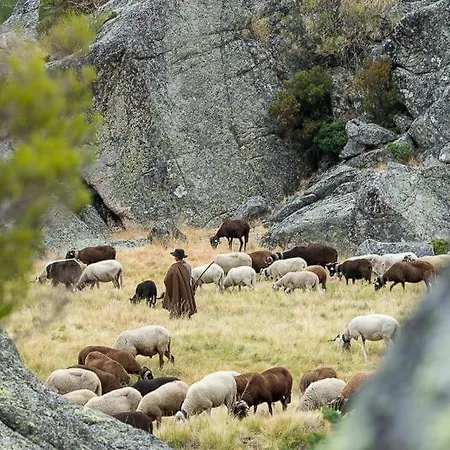 Senhora Da Estrela Al Lejlighed
