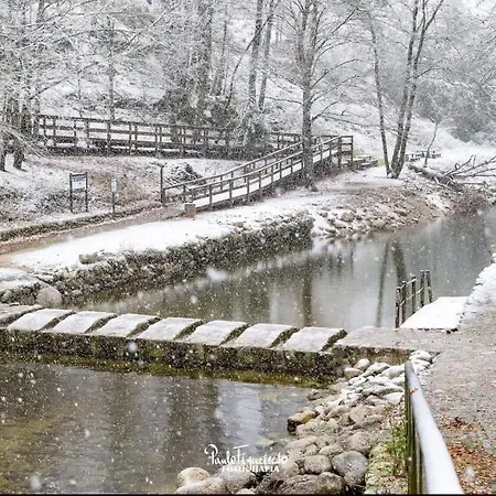 Senhora Da Estrela Al