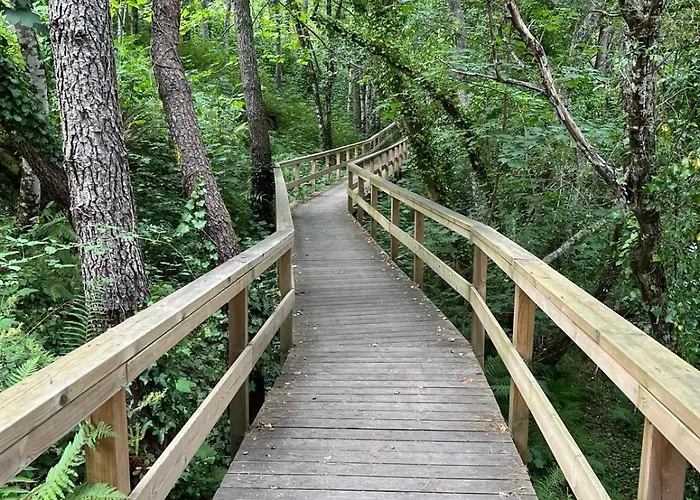 Apartamento Senhora Da Estrela Al *