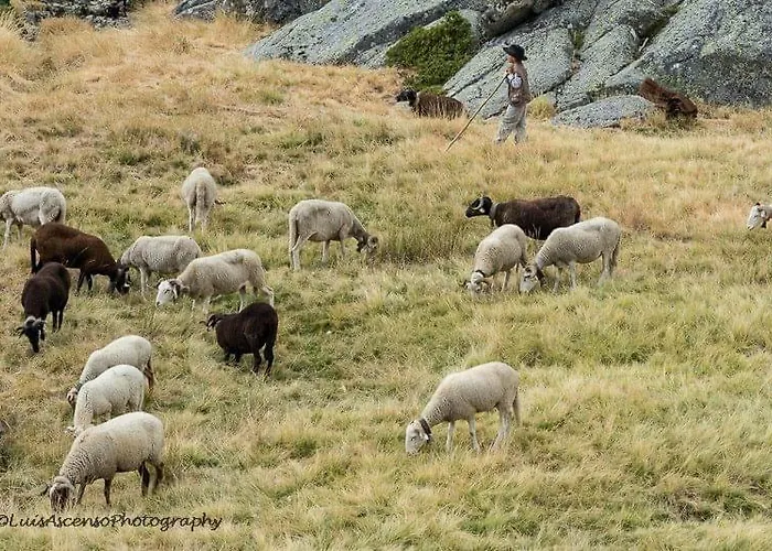 Senhora Da Estrela Al * Seia