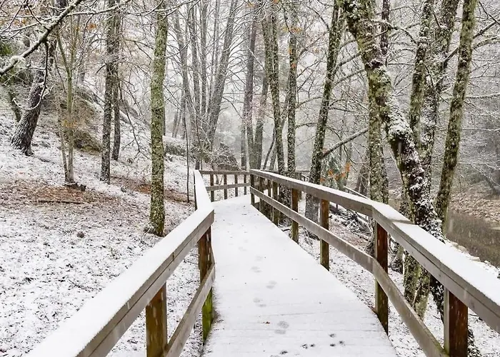 Senhora Da Estrela Al Apartamento