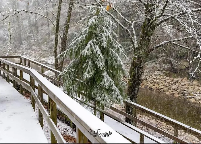Senhora Da Estrela Al * Seia