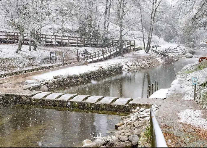 Senhora Da Estrela Al